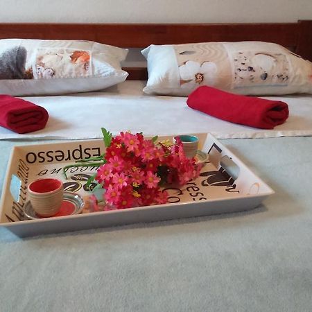 Apartment Vladka Изола Экстерьер фото